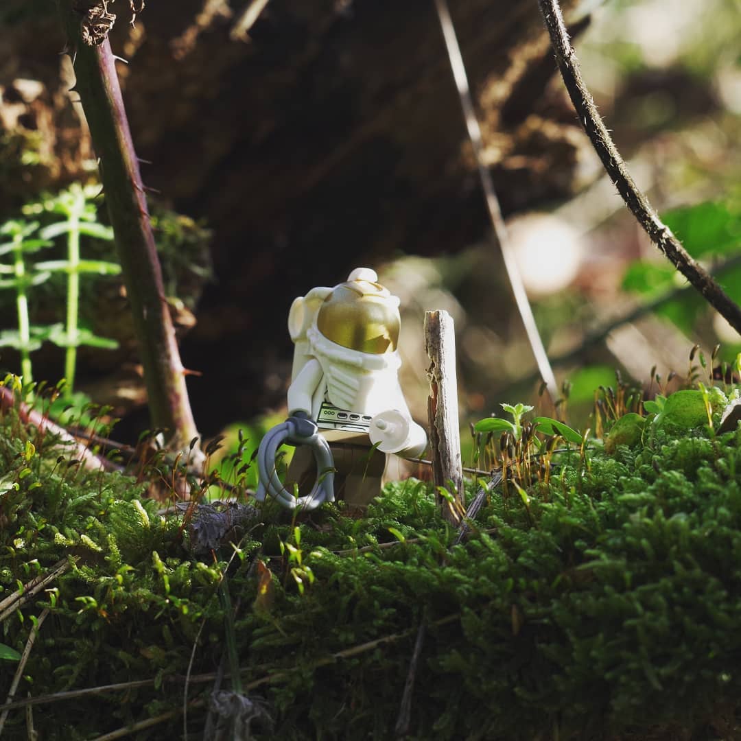 Photo de Mise en scène par Mattéo