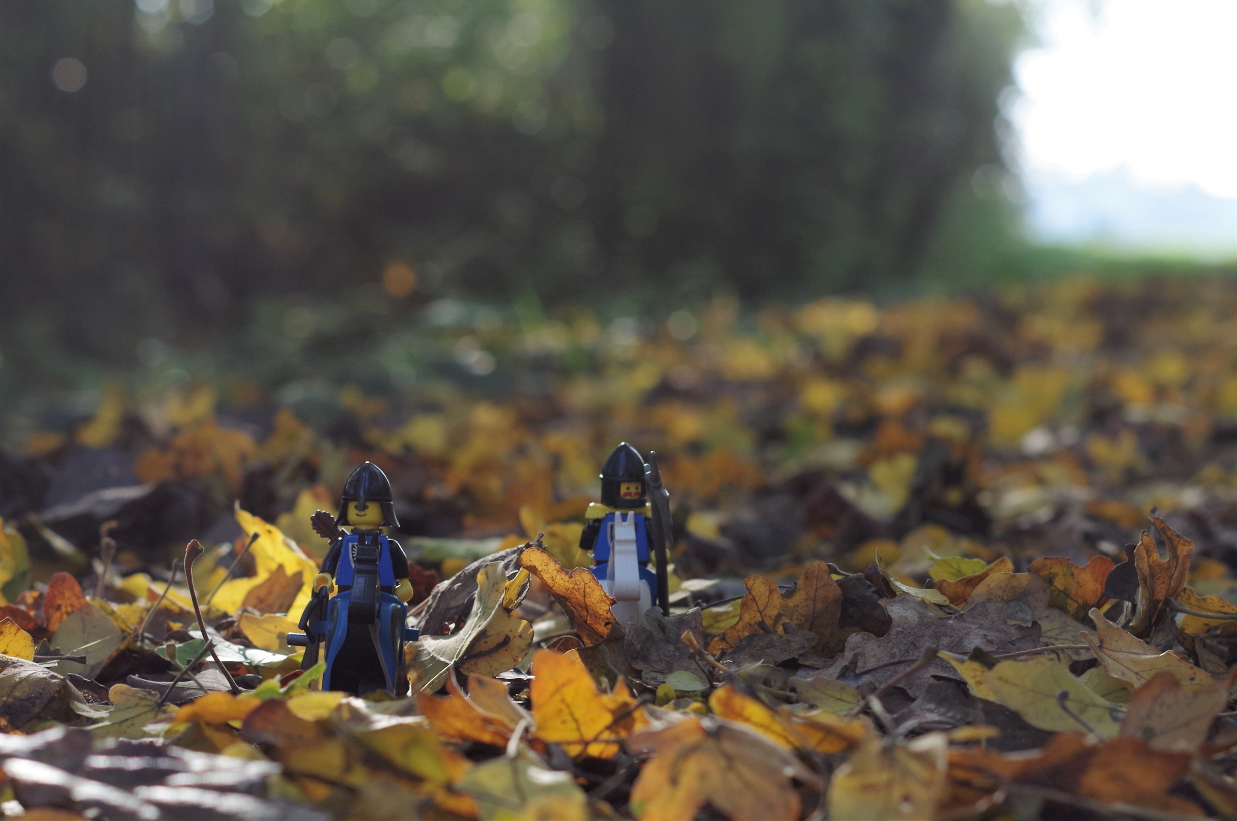 Photo de Mise en scène par Mattéo