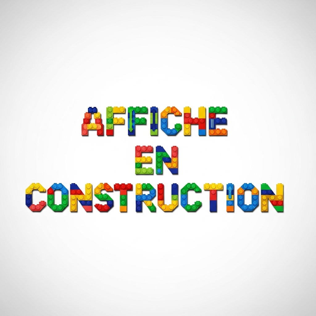 Bourse Lego Playmo